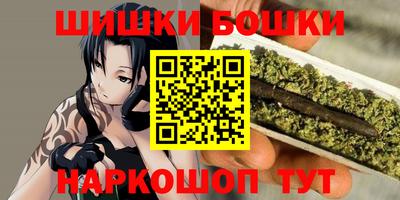 крисы Камень-на-Оби