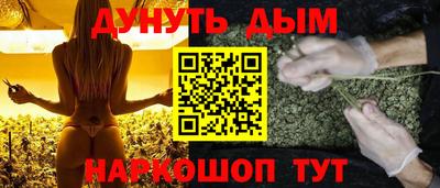 крисы Камень-на-Оби