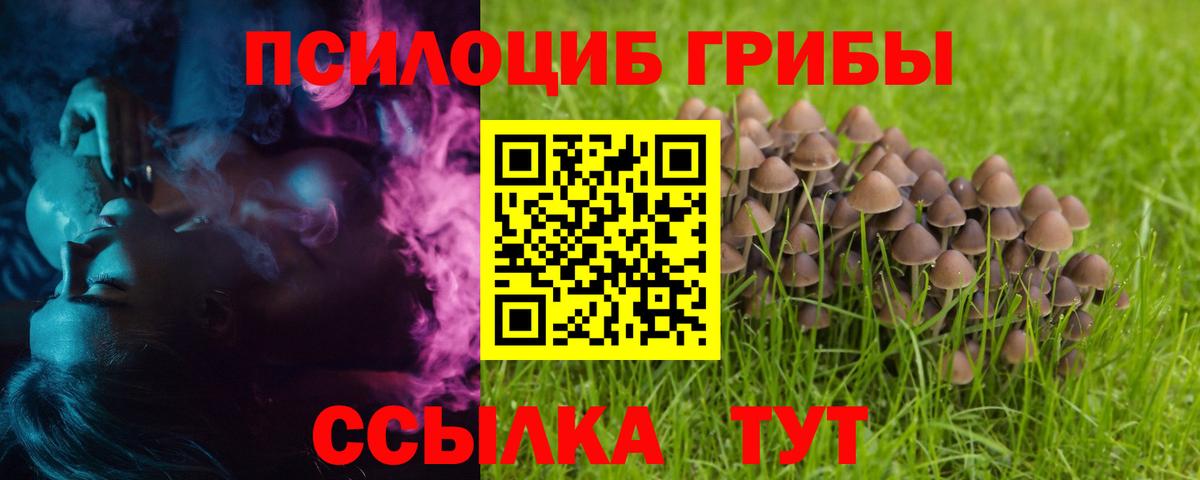 Галлюциногенные грибы GOLDEN TEACHER  Вход с VPN  Светлоград  Псилоцибиновые грибы MAGIC MUSHROOMS 